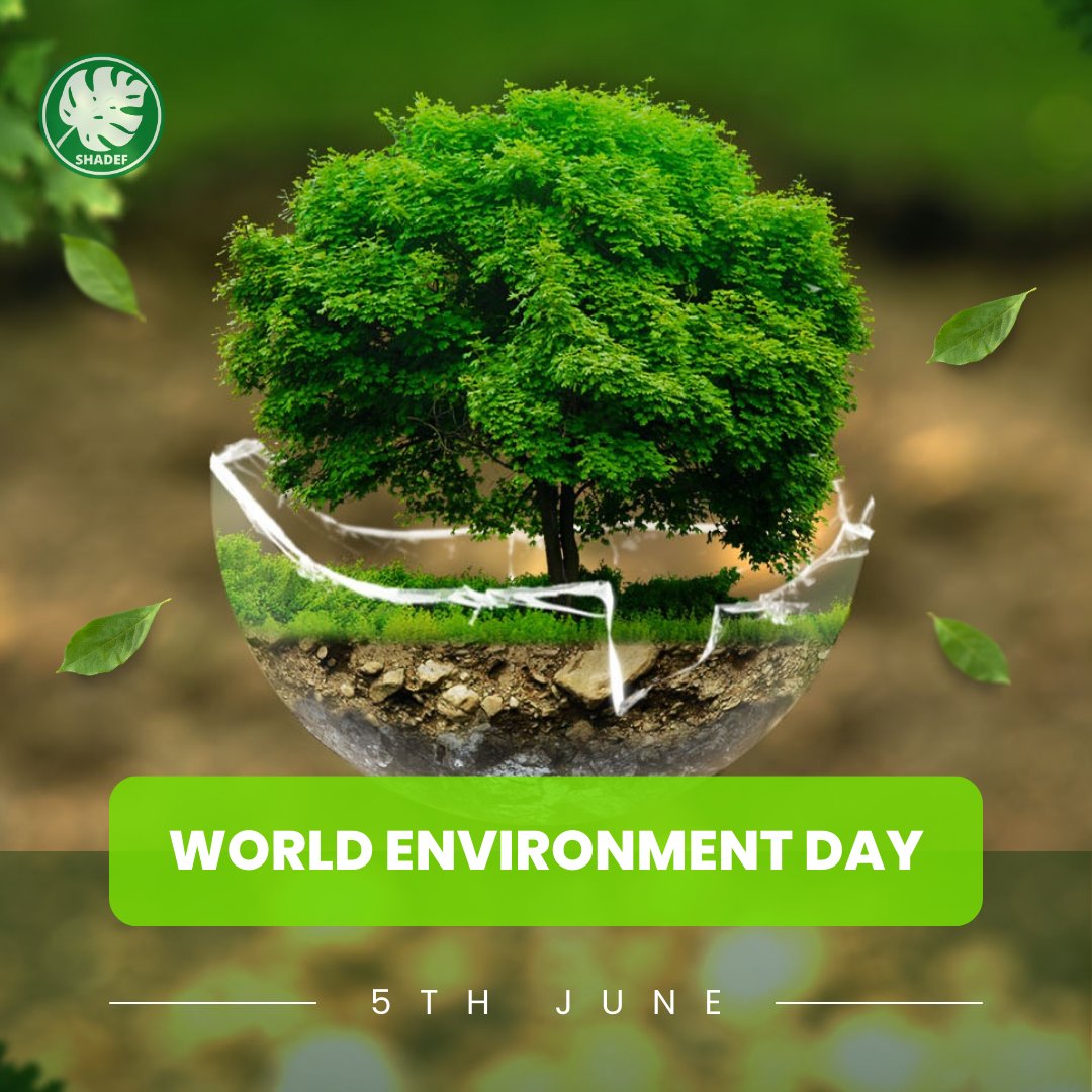 ShadefEco's tweet photo. Land Restoration, Desertification, and Drought Resilience- A Global crisis that requires a Global Action.

Every year, we celebrate the World Environment Day, a day to acknowledge the importance of our planet's health and our role in protecting it.

#WorldEnvironmentDay https://t.co/M8NkYtwXUr
