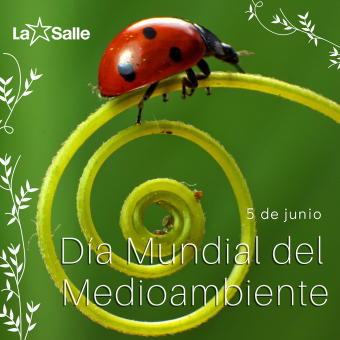 PROYECTO ALFA, obra socioeducativa de La Salle tweet media