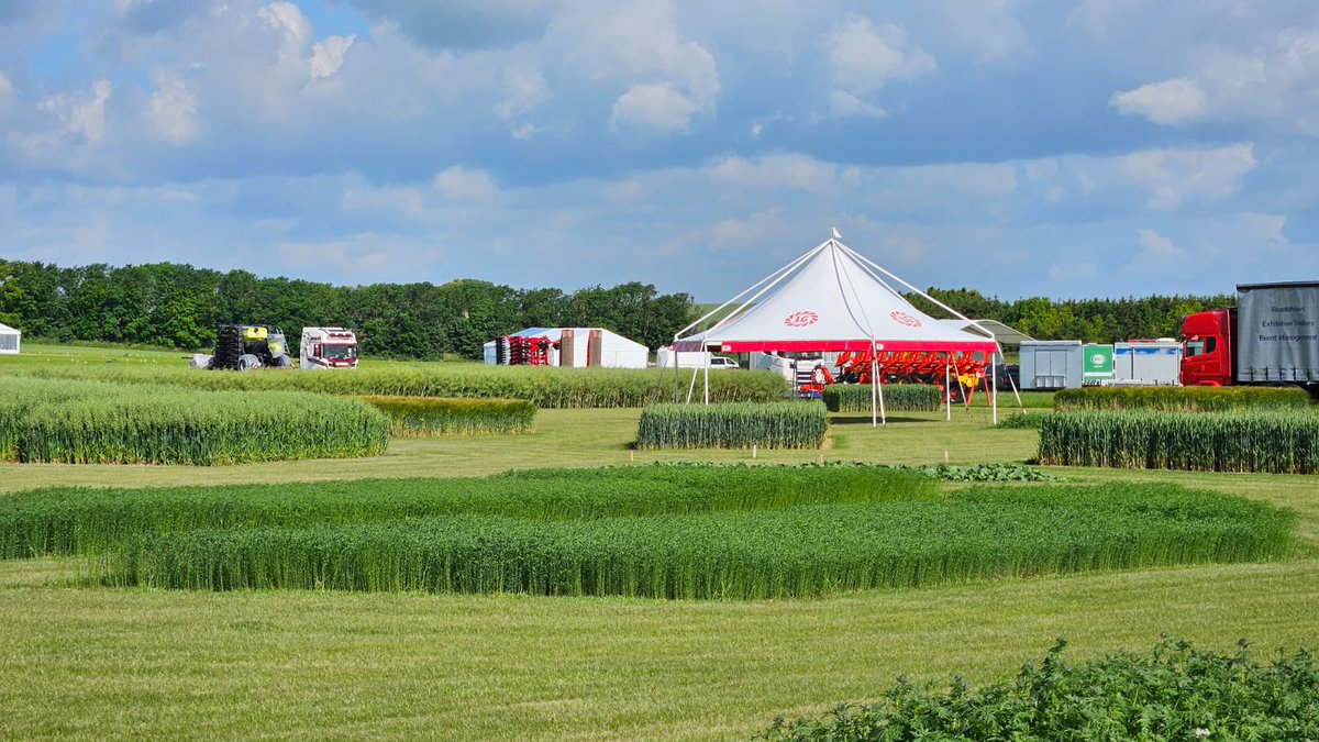 CerealsEvent's tweet photo. A few snaps from the Cereals site this morning. Hoping the weather stays like this for next week☀️ @HORSCHUK 
#tractors #machinery #farming #farmingevents #arable #tillage https://t.co/3BzVPOw91p