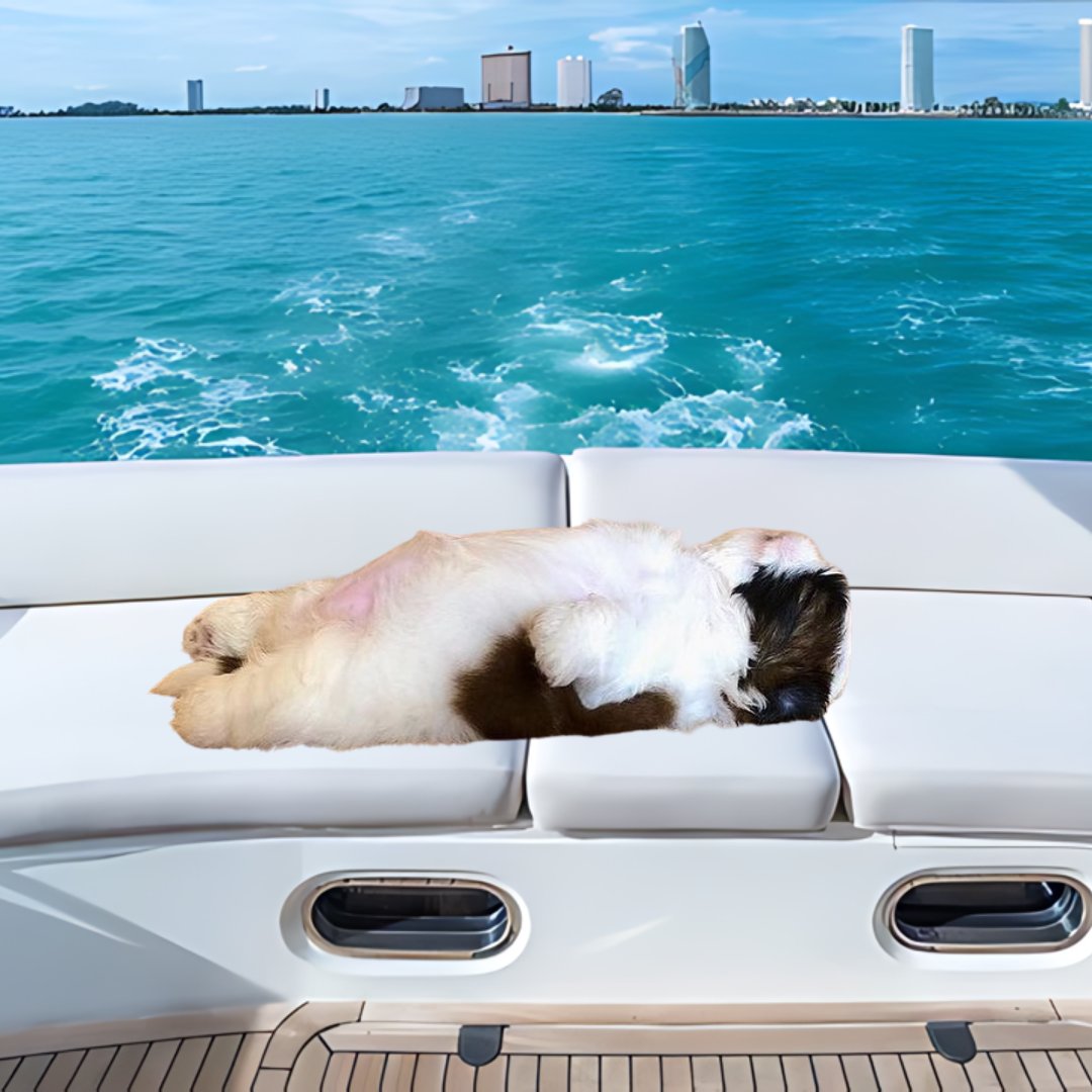 sleepionsol's tweet photo. we are going places...dont sleep https://t.co/sgmmUVvNWy