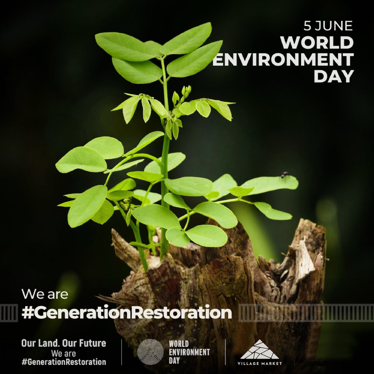 nisisituko's tweet photo. June is #WorldEnvironmentDay.This year is all about accelerating action on land restoration, desertification, and drought resilience.
Join #GenerationRestoration β together, let's restore & safeguard our land & soil.https://t.co/6WmW8HVI8J
#VMWorldEnvironmentDay
Green Village https://t.co/lByPbJ3UFq