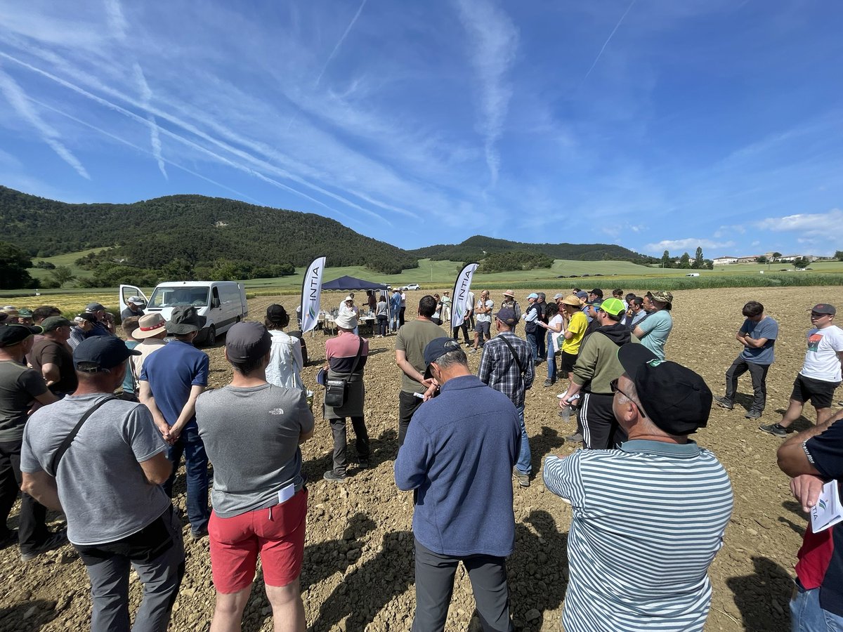 IntiaSa's tweet photo. Presentamos esta mañana al sector cerealista de #Navarra parte de los 35 ensayos en cultivos extensivos que se están realizando en una superficie de 9 hectáreas en una zona de Baja Montaña ubicada en #Azpa.
📎https://t.co/eNnPG666k8
#LIFE_IP_NAdapta_CC
#IntercropVALUES #Cereal https://t.co/OTePH1Uw9s