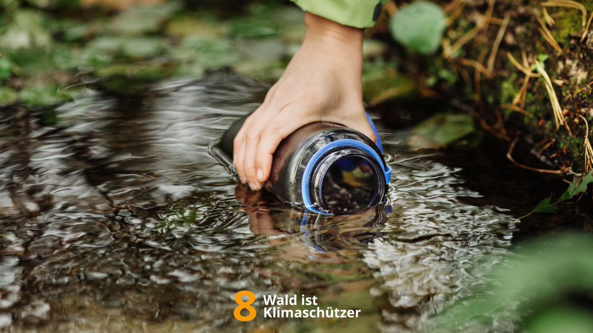 klimaschuetzer8's tweet photo. Der #Wald als #Wasserfilter! Regenwasser sickert in den Boden, wird gereinigt und speist unsere Quellen. Wald schützt daneben vor Überschwemmungen und Erosion. Vielen Dank an unseren Klima- und Wasserschützer! 💦🌳 #WaldistKlimaschützer https://t.co/8GzRfyRXlW