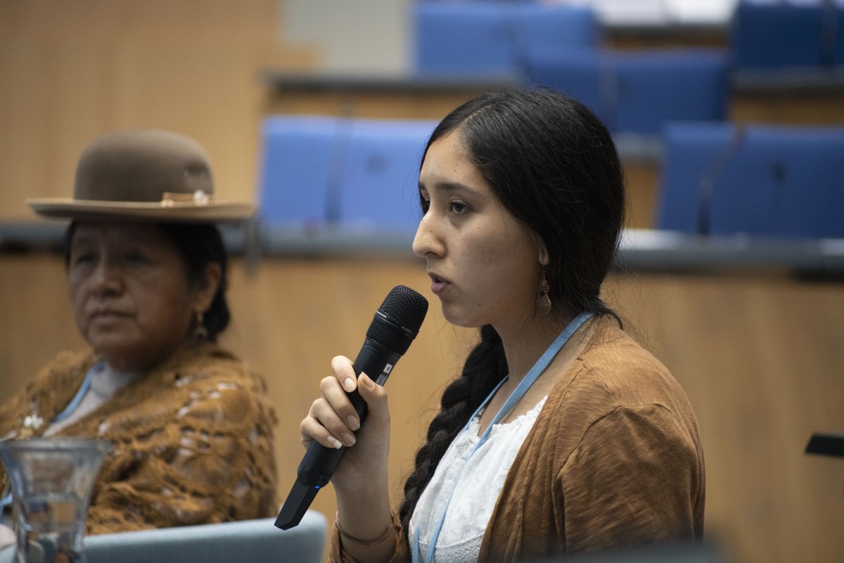 LossandDamage's tweet photo. “We need to respect and acknowledge the knowledge of Indigenous Peoples' in mountain management. We have lived in harmony with the mountains for centuries, and our sustainable practices have proven to be resilient and adaptive.” Camilla Romero, Asociación Indígena Trem Tem Mapu. https://t.co/1DEhqtmOw8