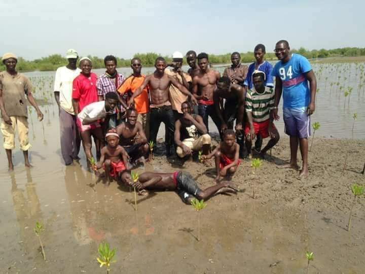 CAPED reaffirms our commitment to environmental conservation and sustainable development. Through community education, women and youth empowerment, and ecosystem restoration, we're driving positive change across The Gambia.  #WorldEnvironmentDay  #GenerationRestoration