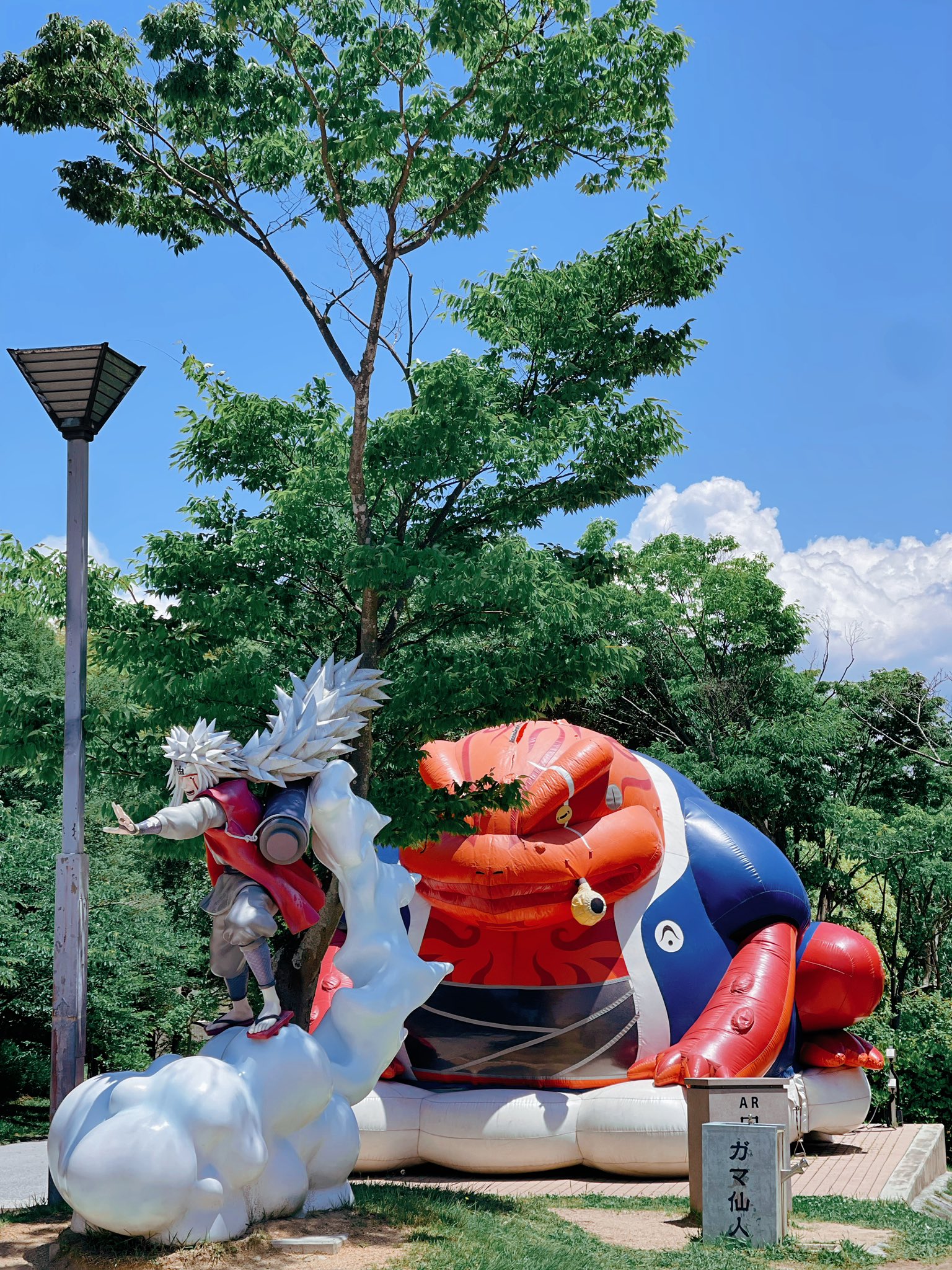 その他観葉植物 NORUTO 71R7UidAeGL._UF894,1000_QL80_.jpg
