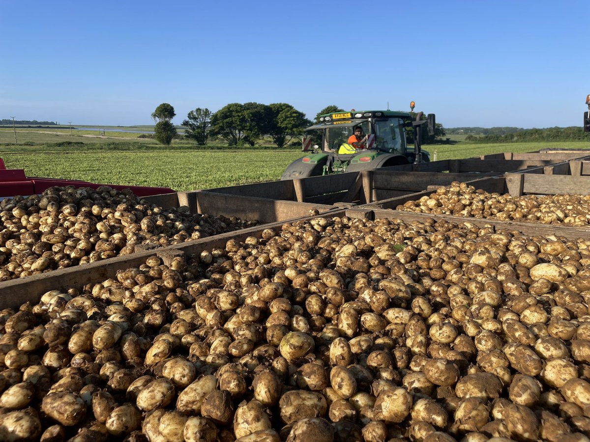 Cracking view this morning #suffolk #peer <a href="/3musketeersltd/">Three Musketeers</a>