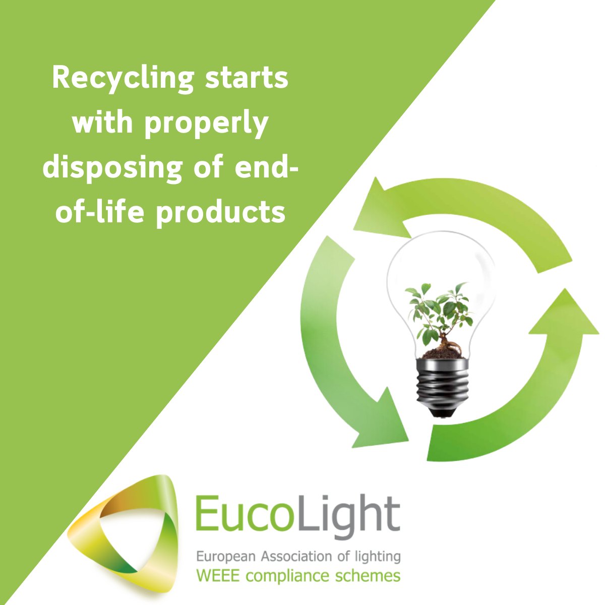 Today is #WorldEnvironmentDay !🌍🌳🌷
EucoLight:
- facilitates the exchange of best practices about, collection and #recycling of end-of-life #lamps and #luminaires
- advocates on an EU level for policies that work for members, environment, and society