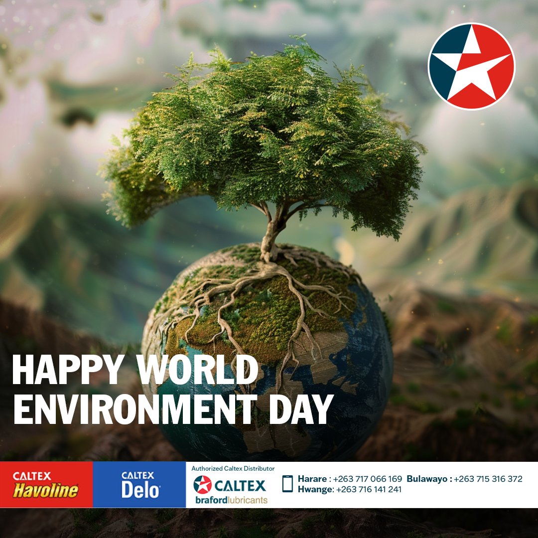 caltexbraford's tweet image. Happy World Environment Day 🌍! 
Let's work together to ensure a greener, cleaner future for generations to come. #CaltexLubricants #WorldEnvironmentDay