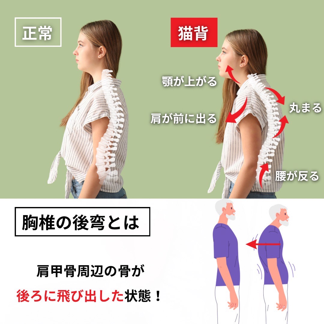 J's.treatment 三田院 tweet media