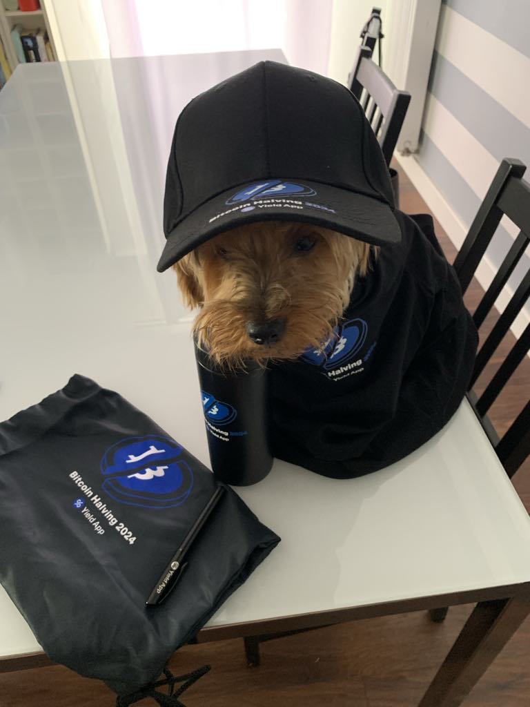 ukaszGazka3's tweet image. We received mystery box from @YieldApp 😁🙌
#Yieldapp