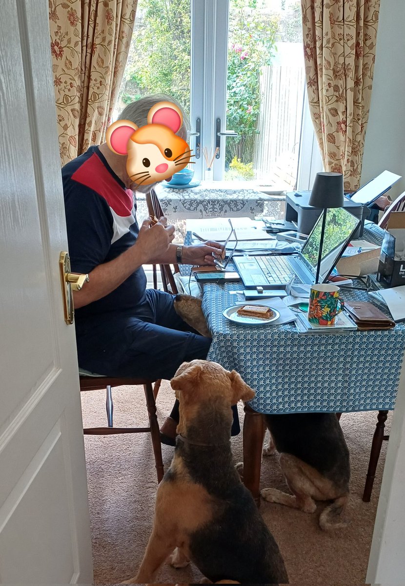 HeathersCookies's tweet photo. He has cheesies on toast. We like 🧀 and we like toast corners. We've got him surrounded.
#EverHopeful
Tanner🐾 and Bob🐾
#AiredaleTerriers https://t.co/8nEXj073QU