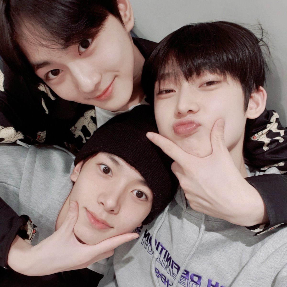 뿌 tweet media