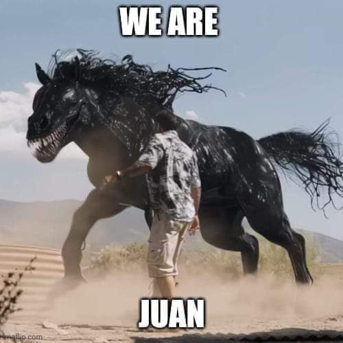 Juan tweet media