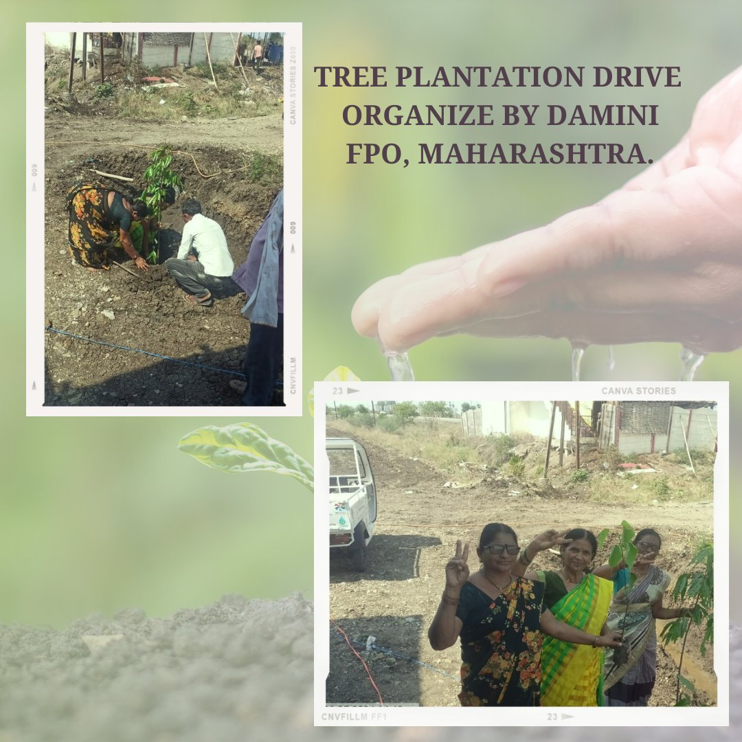 Celebrating World Environment Day! Let's come together to protect and preserve our beautiful planet. Every action counts, from reducing waste to planting trees. 🌱🌎

#NABARD #nabfoundation #WorldEnvironmentDay #EcoFriendly #ProtectOurPlanet #SustainableLiving #GreenFuture