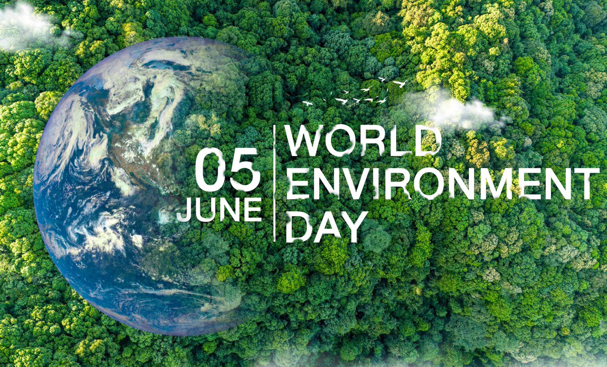 🗣️Today we celebrate #WorldEnvironmentDay and put the focus on the conservation of our marine estuaries.
💪Let's all work together for the conservation of all our natural habitats.
<a href="/LIFEprogramme/">LIFE Programme</a>