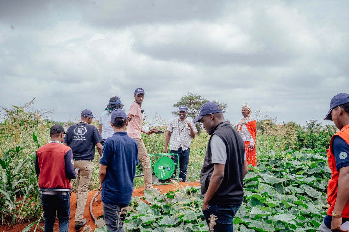 ResilienceLear2's tweet photo. As a result of effective collaboration amongst @USAID Partnership for Resilience and Economic Growth — #PREG partners, traditional pastoral communities in Nothern Kenya are defying #environmentalshocks and embracing farming! Happy #WorldEnvironmentDay! #ResilienceMatters https://t.co/JqsL2fmKvC
