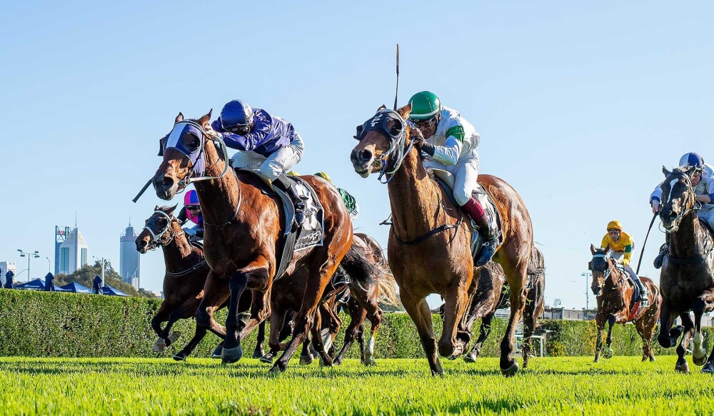 Simon Miller Racing tweet media