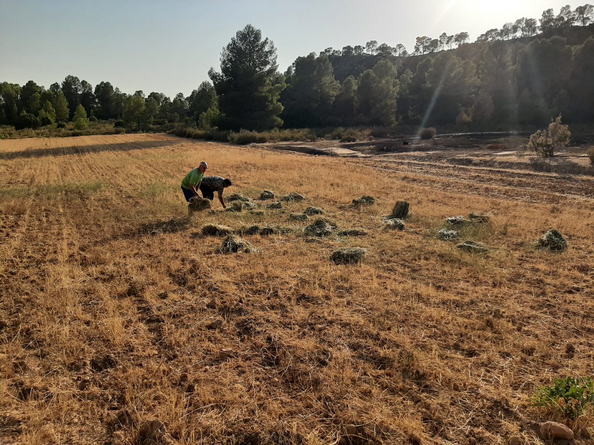 🌍🐾 En el Día Mundial del Medio Ambiente, los cazadores de la Comunitat Valenciana reafirman su compromiso con la naturaleza. Más de 16 millones de euros invertidos en mejoras ambientales durante la última temporada🌳💧

👉federacioncazacv.com/prensa/en-el-d…