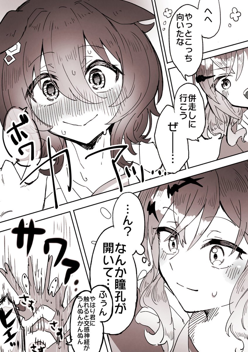タキポケ 