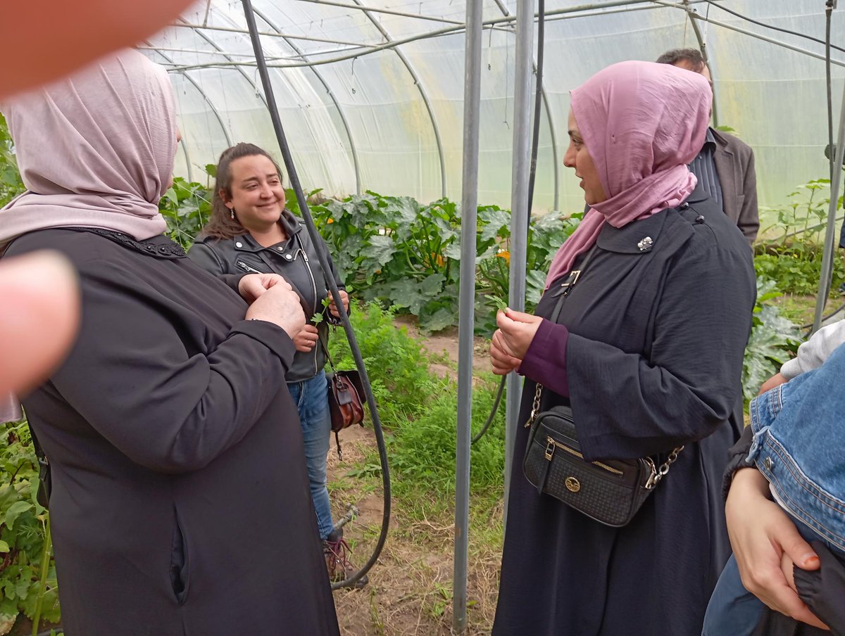 Quicray1's tweet photo. Des parents du dispositif OEPRE, "Ouvrir l'école aux parents pour la réussite des Enfants" visitent la ferme maraîchère du Bois du Château.
#OEPRE
#REP
#environnementdurable
#jardinecole https://t.co/SH7Za37Vlj