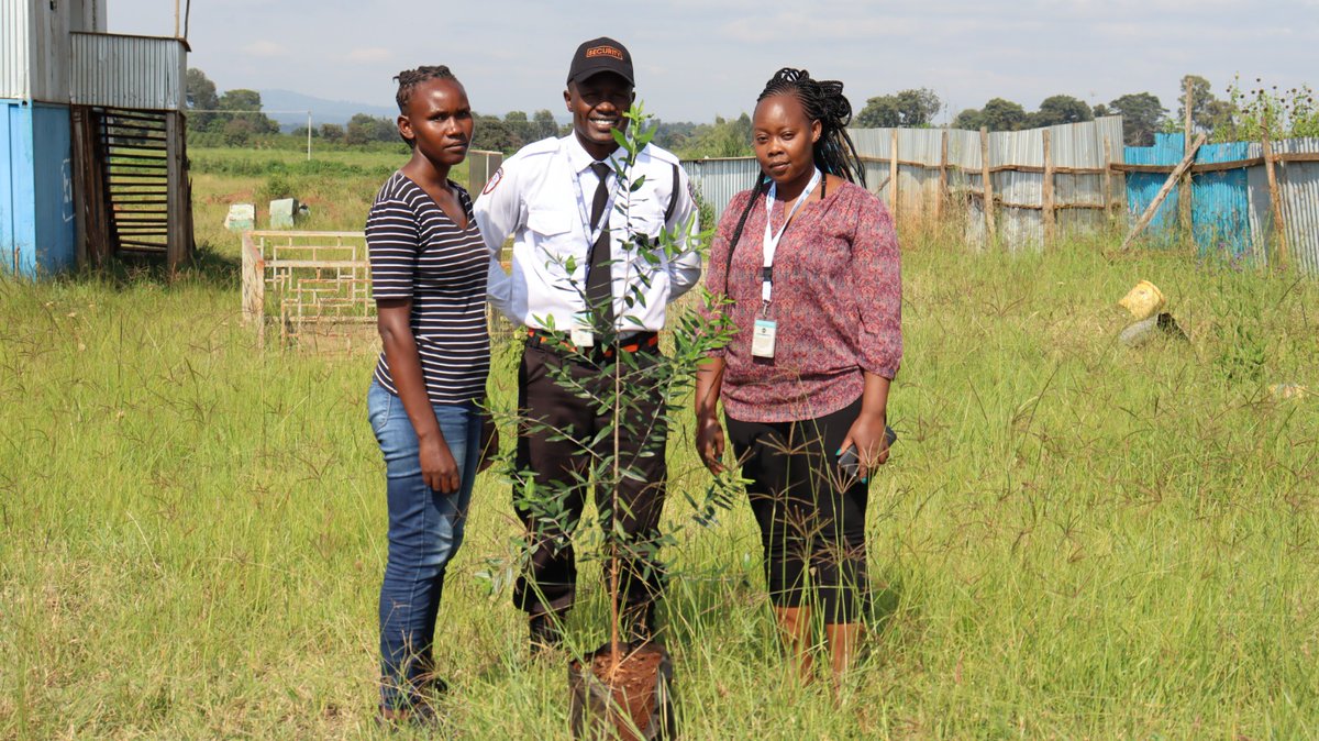 stl_ke's tweet photo. 🌳Through HWET Foundation, our dedicated Hospitality team members, Ms. Sylvia Chege and Ms. Cecilia Nyambura, along with our Head of Security Mr. Benson Rono, came together to plant a tree at our #ScienceAndTechnologyPark. #HWETFoundation
#Sustainability #ClimateAction https://t.co/k40hbl1pPE