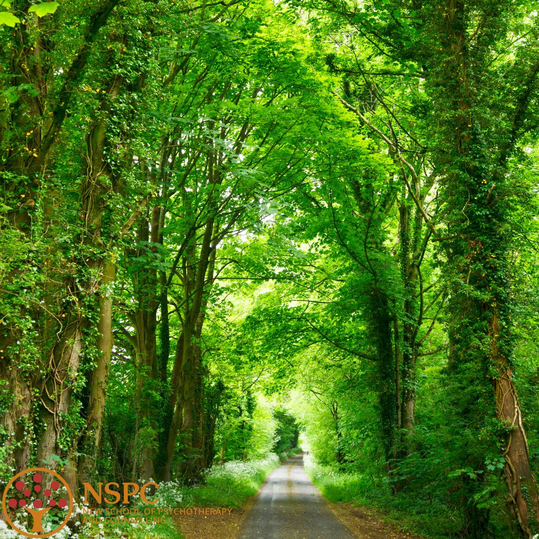 Diversity Studies tweet media