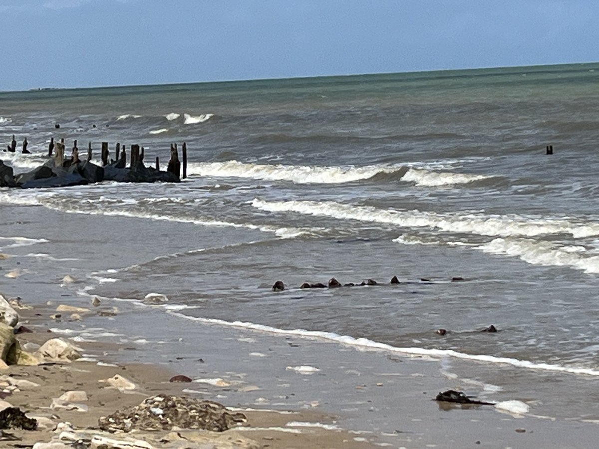 fromTGA's tweet image. According to a remarkable French local military historian this is the exact place my father landed at about 0730 am on D -Day, 6 June 1944, from the ‘rivages de l’ancien Angleterre’ (De Gaulle), then advancing up a narrow single track road w the 6th Green Howards…
