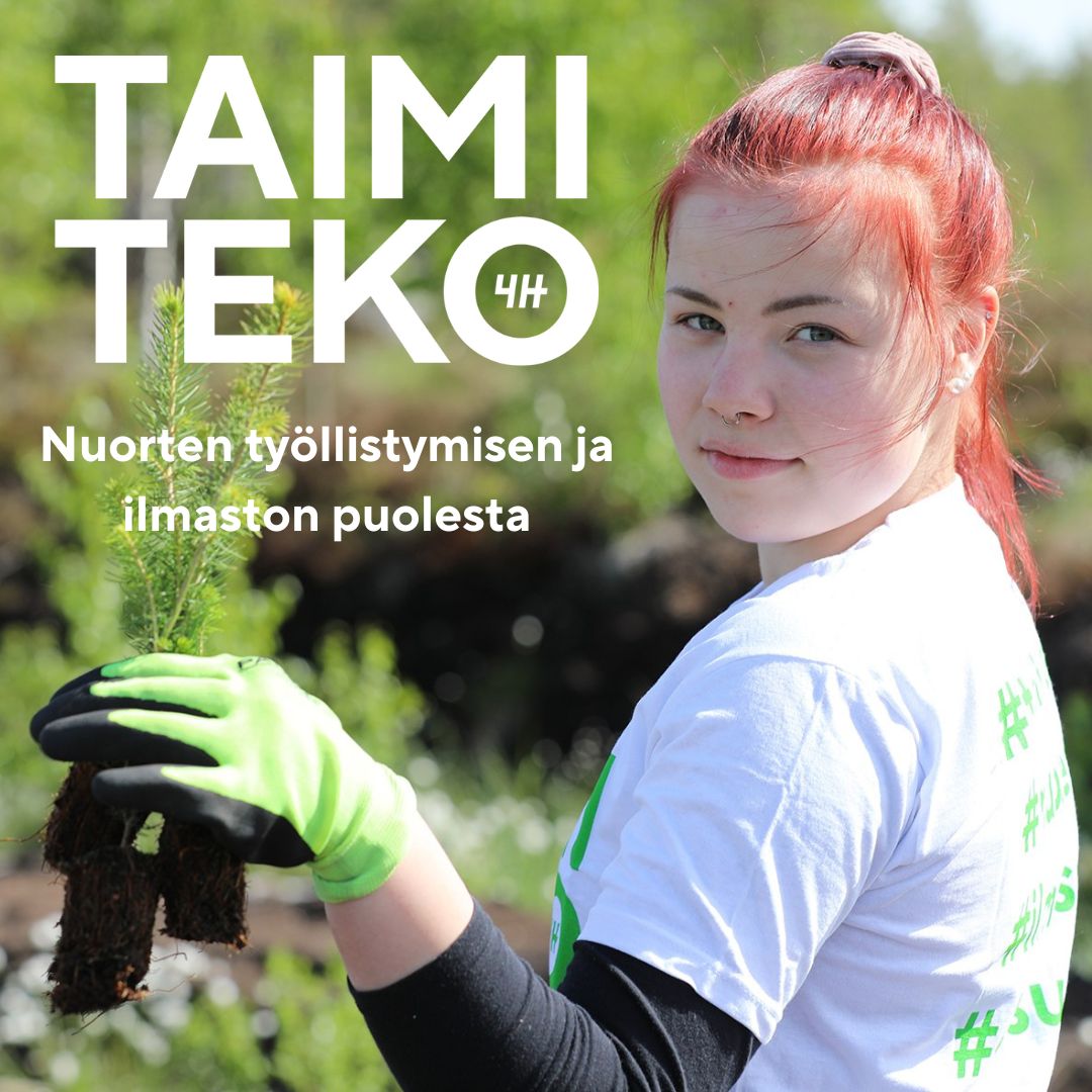 Vuoden 2024 Taimiteko-istutukset käynnistyvät tänään Kärsämäen ja Soinin kohteilla! Tänä vuonna noin 80 nuorta saa kesätöitä yhteensä 104 000 puun taimen istutuksissa. Taimista kasvaa Suomeen 52 hehtaaria uutta metsää🌱. Lue lisää Taimiteosta: taimiteko.fi  @4HSuomi