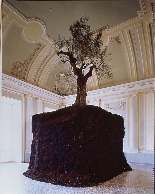 <a href="/Olimpia07522322/">Olimpia</a> <a href="/Museo_Eboli/">MuseoArcheologicoNazionaleEboli</a> <a href="/bcm_girolamini/">Complesso monumentale e Biblioteca dei Girolamini</a> <a href="/MuseoArcheoCa/">Musei Nazionali di Cagliari</a> <a href="/MuseiCaprera/">Musei Garibaldini di Caprera</a> <a href="/SandjLorenzon/">Sandj</a> <a href="/paoloigna1/">paolo ignazio marong</a> <a href="/Relycat16/">Rely</a> <a href="/LCDARTE/">ATELIER LCDARTE - Libere Corrispondenze d'Arte</a> <a href="/Antdef22/">Antdef✨</a> <a href="/MuseumWeek/">ᴍᴜsᴇᴜᴍᴡᴇᴇᴋ 🏛</a> Un ulivo e la grande zolla di terra che ne contiene le radici compongono l’installazione Senza titolo, l'opera di #Cattelan che abbiamo in Collezione che allestiamo in genere nella sala neoclassica.   #MuseumWeek2024 #BiodiversitàMW #GiornataMondialedellAmbiente