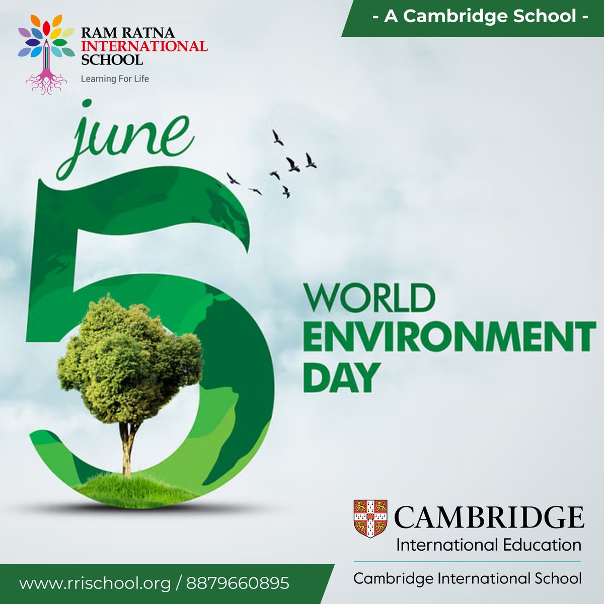 Happy World Environment Day from Ram Ratna International School! 🌎🌿
 Let's unite in our efforts to protect and nurture our precious planet for the future generations. 🍀🪴🍃
Together, we can make a positive impact and create a greener, healthier world.