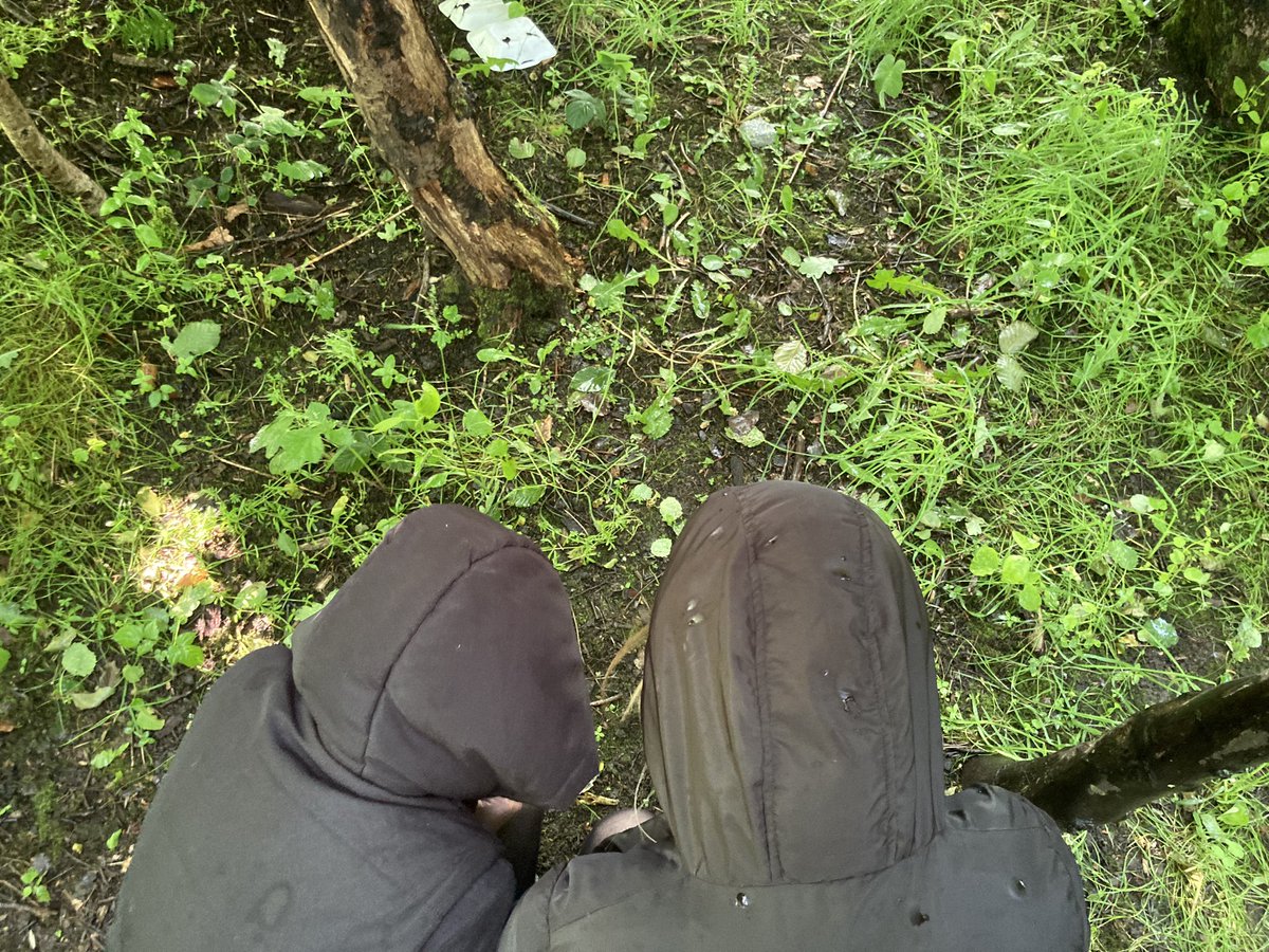 Garnock Science Department (@garnockscience) on Twitter photo Wet weather hasn’t put off this enthusiastic S2 class. We were out setting pitfall traps today to see what invertebrates live in the leaf litter.
<a href="/GarnockCampus/">Garnock Community Campus</a> #STEMEducation #outdoorlearning Wet weather hasn’t put off this enthusiastic S2 class. We were out setting pitfall traps today to see what invertebrates live in the leaf litter.
<a href="/GarnockCampus/">Garnock Community Campus</a> #STEMEducation #outdoorlearning