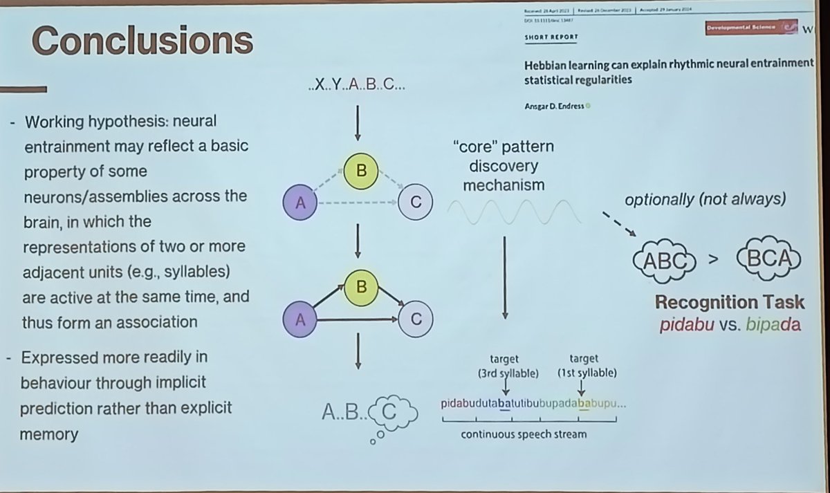 therfer's tweet image. A lot of work to do yet to connect Education and Cognitive Science via #StatisticalLearning 🤔😄
@bcbl_ #IASL2024
👇 Slides by @LauraBatterink Great work ! 👏