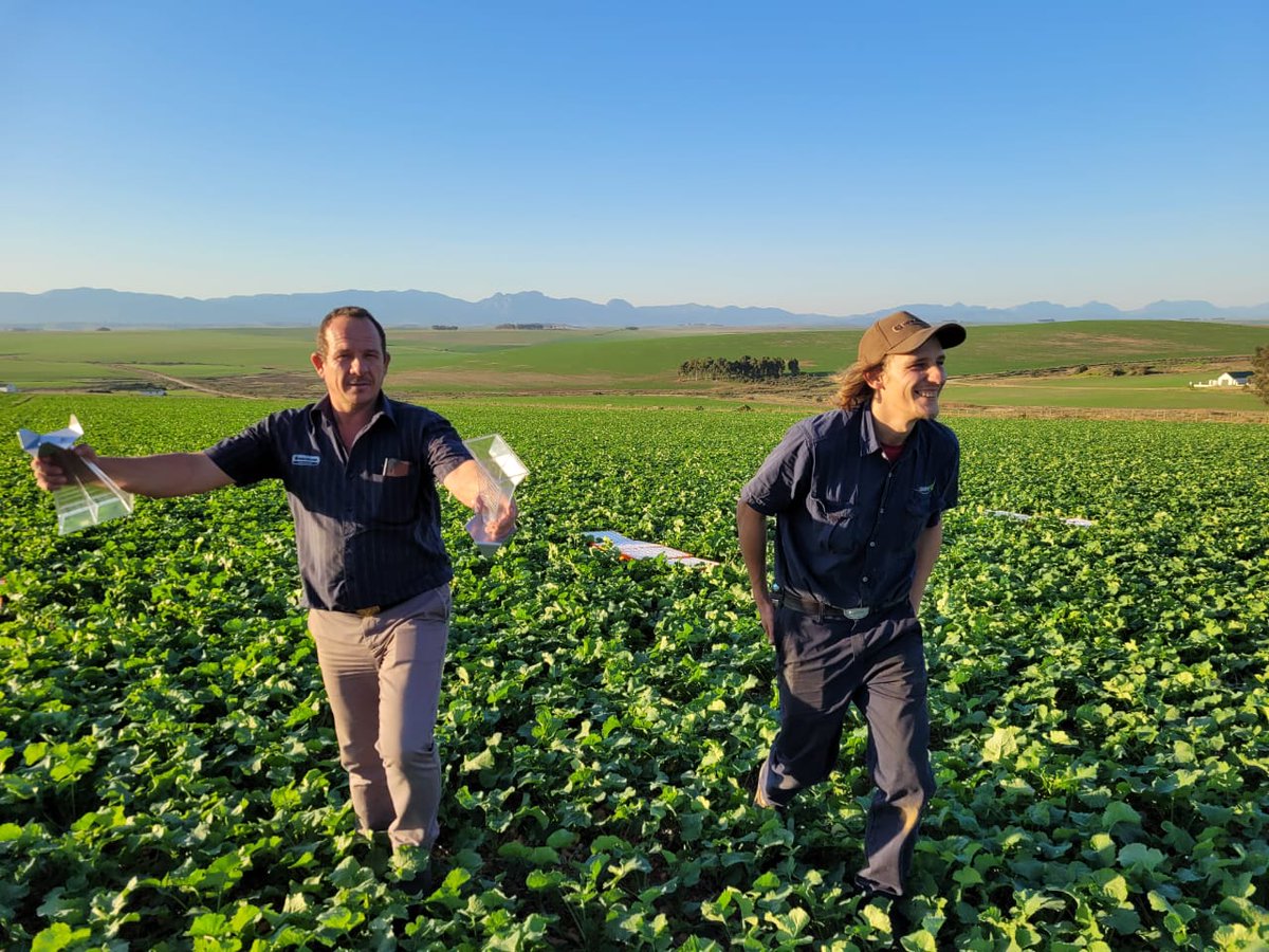 FalconAgriEquip's tweet photo. It is with photos like these that one appreciates our beautiful #SouthAfrica😍. Our #delivery last week, the @Amazone ZA-TS 4200 with @SSK_Group in Overberg, looks even better😉. 
#thank you for the photos Gerhard!
#Falcon #amazone #SoleImporter #worksforyou! https://t.co/N52S6oAvzL