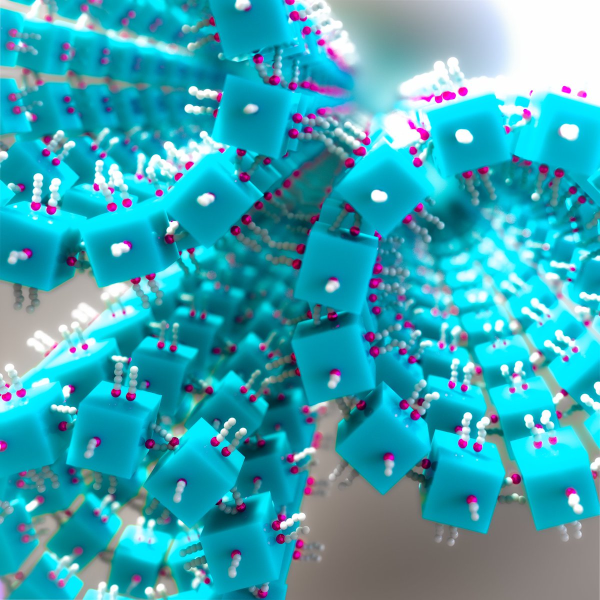 Dr Anna Tanczos tweet media