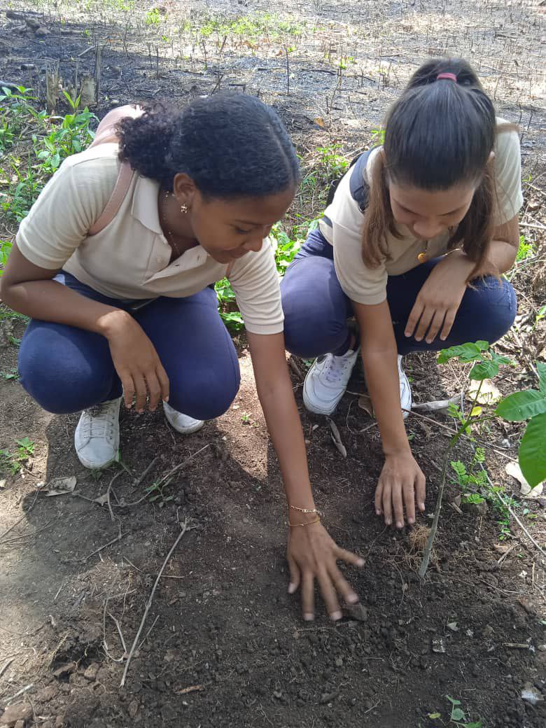 En el marco del nuevo Plan Estratégico Nacional Agrícola 2024-2025, estudiantes del CE "Ramón de León" participaron en la jornada de reforestación en la parroquia San Fernando del municipio Montes, en el 18° Aniversario de la Misión Árbol.
@nicolasmaduro
#PuebloMaduroEnPaz