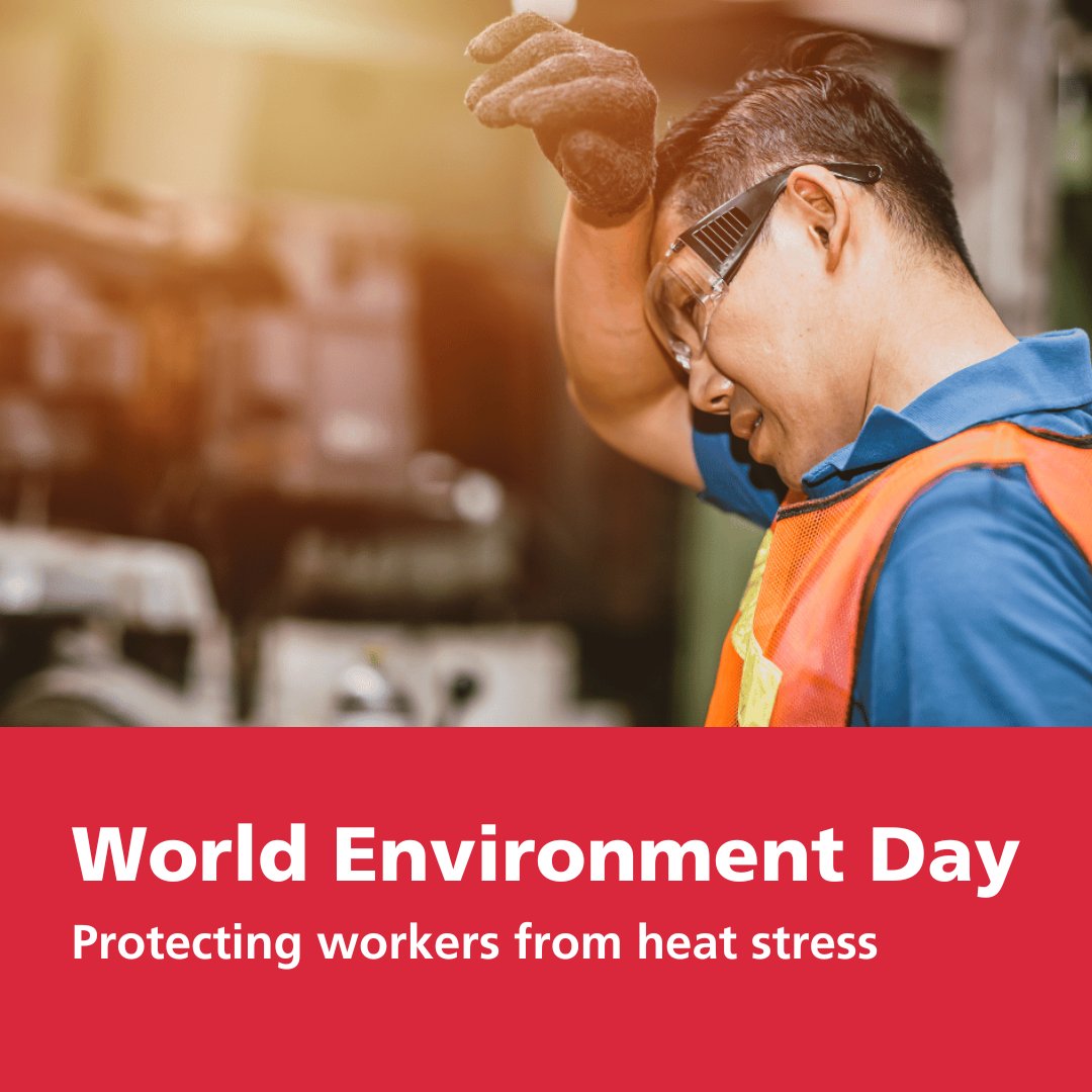 On World Environment Day, learn about the impact of climate change on rising heat stress risks and how to manage it: bit.ly/3Rdz545

#WorldEnvironmentDay
