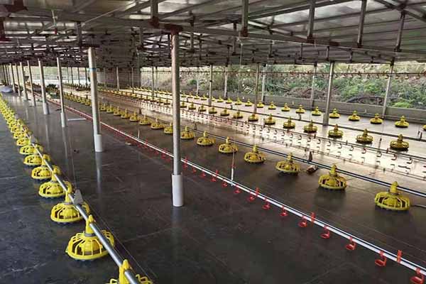 wangjingji77754's tweet photo. A modern broiler house with an automatic feeding System.
#Farmlink🐓🐓🐓 https://t.co/PYtu3gqpxf