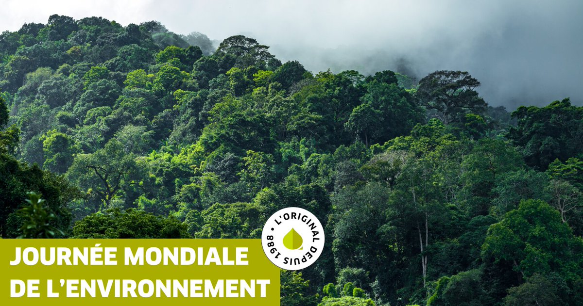 En ce jour dédié à l’#environnement, nous sommes fiers de notre #engagement pour un avenir plus vert.

Nous travaillons pour proposer des #carburants :

⛽ Exempts de substances nocives,
↘ Réduit jusqu’à 8% les émissions de CO2,
🌱 Pas de logo “dangereux pour l’environnement”.
