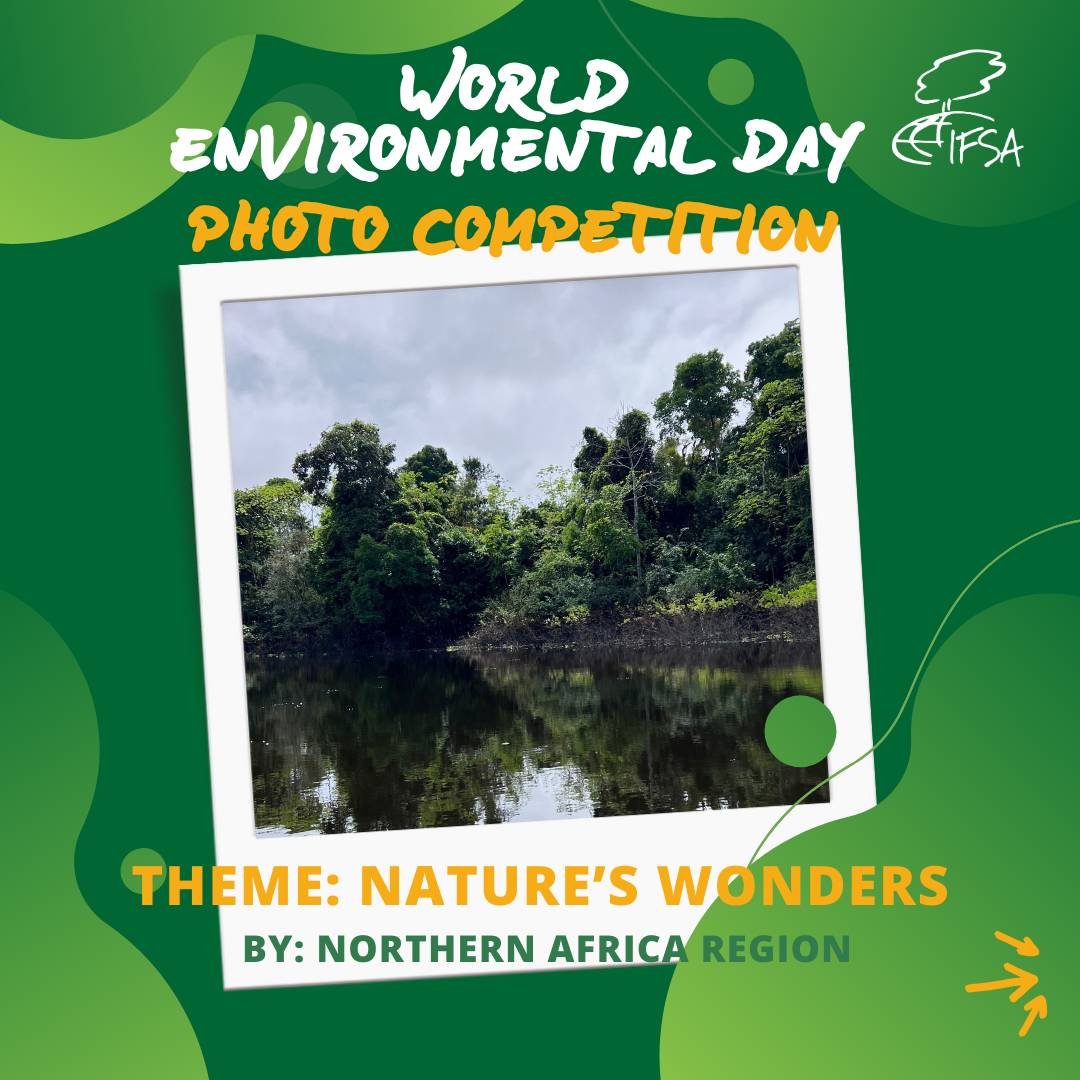 International Forestry Students Association tweet media