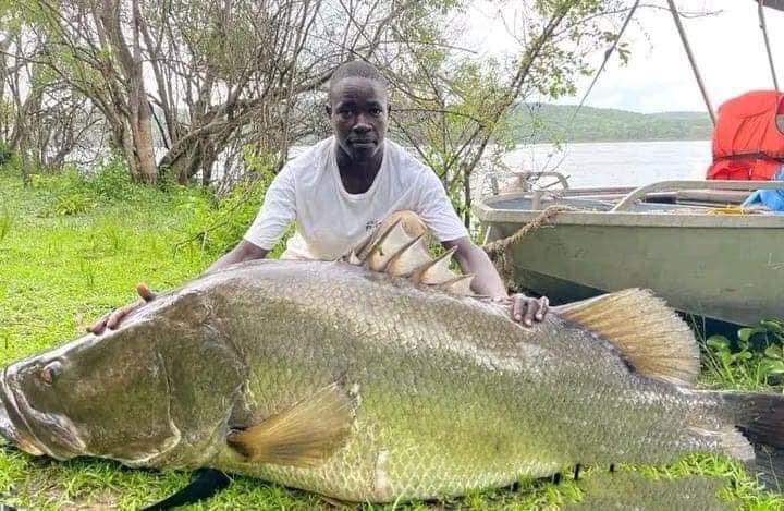 Futurist🇿🇼 tweet media