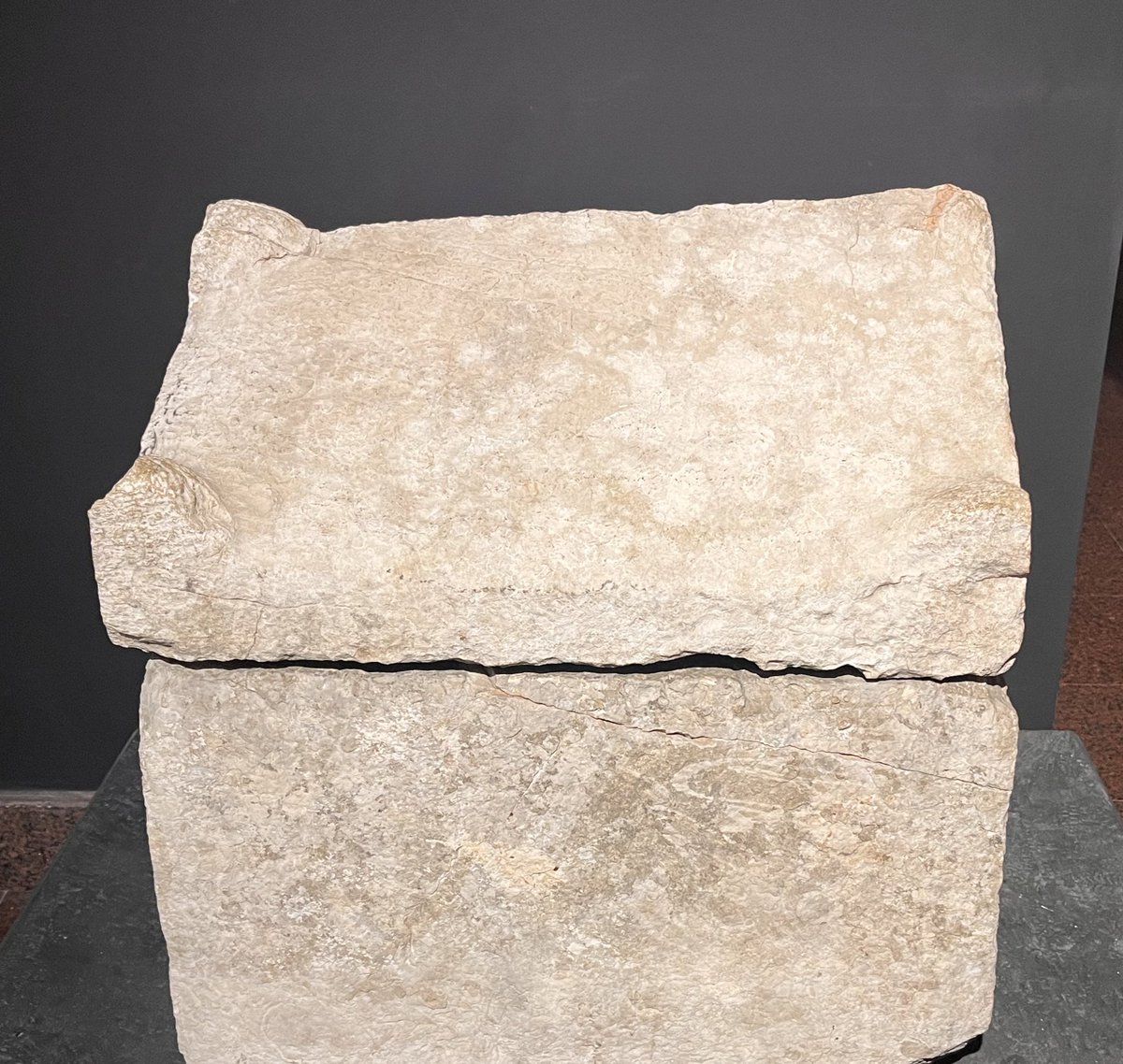 Termessos’ta bulunan bir lahit, tarih boyunca bu topraklarda yaşayan insanların köpeklerle olan güzel ilişkilerini ortaya koyuyor. Bu küçük lahit Stephanos isimli köpek için sahibi Rhodope tarafından yapılmış. Rhodope ismine kendisi için yaptırdığı lahitte de rastlıyoruz (TAM III