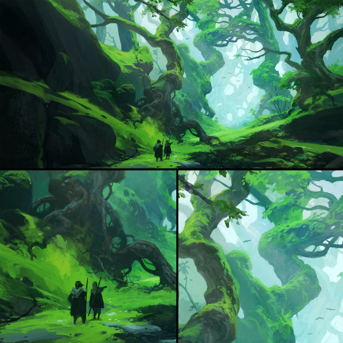 Andreas Rocha tweet media