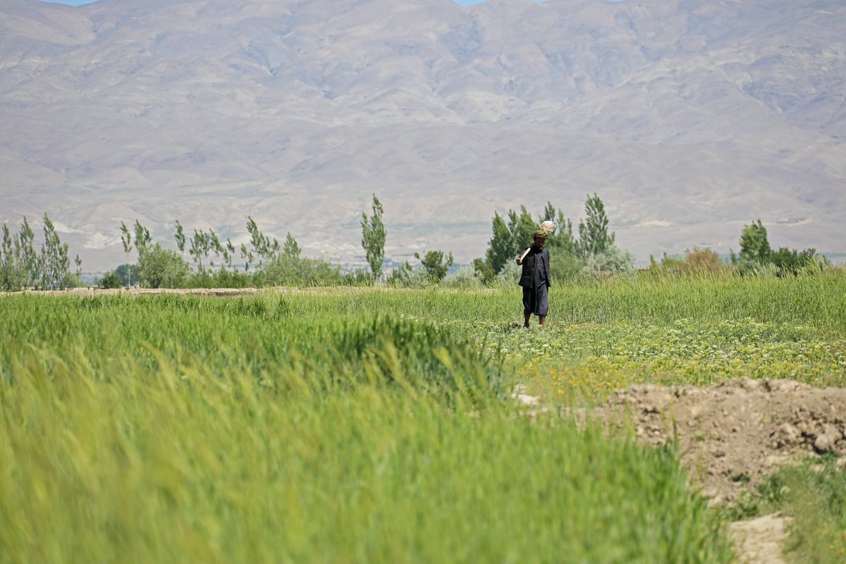 UNDPaf's tweet photo. · @UNDPaf promoted watershed management &amp; nature-based solutions, rehabilitating 1,216 ha of dry rangeland and degraded farmland (due to erosion &amp; floods) in the Central Highlands, Eastern, &amp; Northeastern regions, benefiting over 200,000 smallholder farmers. #WorldEnvironmentDay‌ https://t.co/H0rTq38YYb
