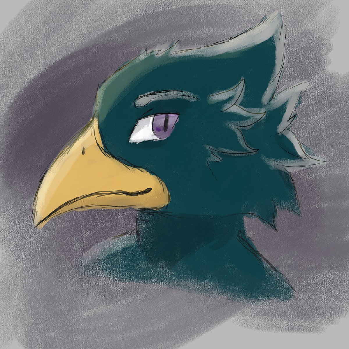 Hunsi12's tweet photo. Pájaro https://t.co/kYnYQtpY32