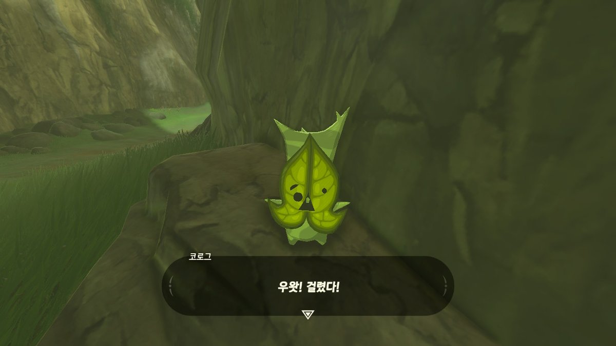 SW1THCH's tweet photo. #BreathoftheWild #NintendoSwitch https://t.co/cNUySH9DcS