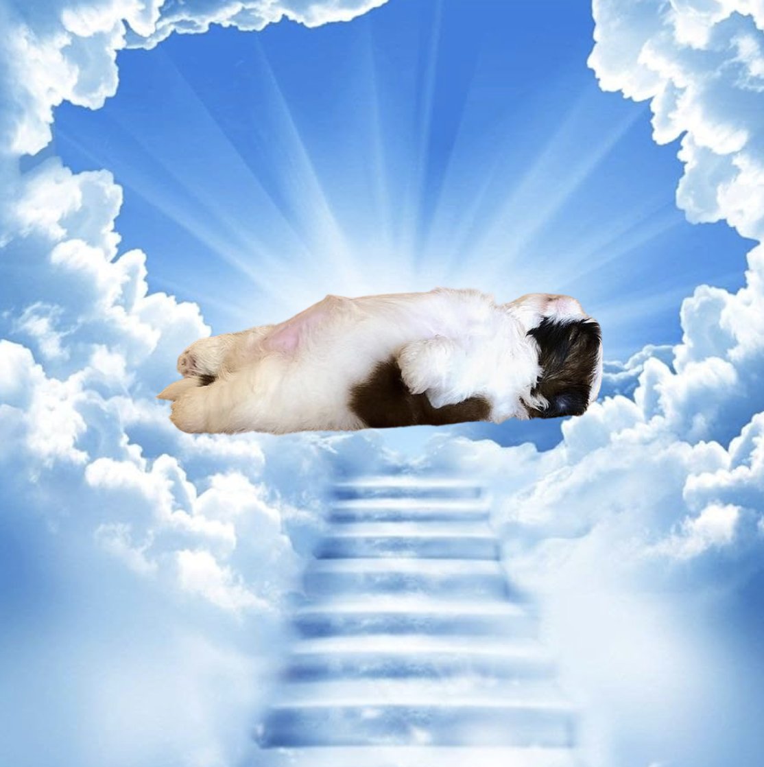 sleepionsol's tweet photo. stop sleeping...... https://t.co/gYHOTuiHJq
