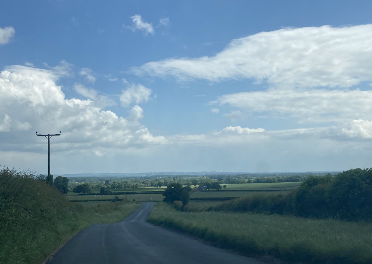 Red Kite Teacher Training tweet media