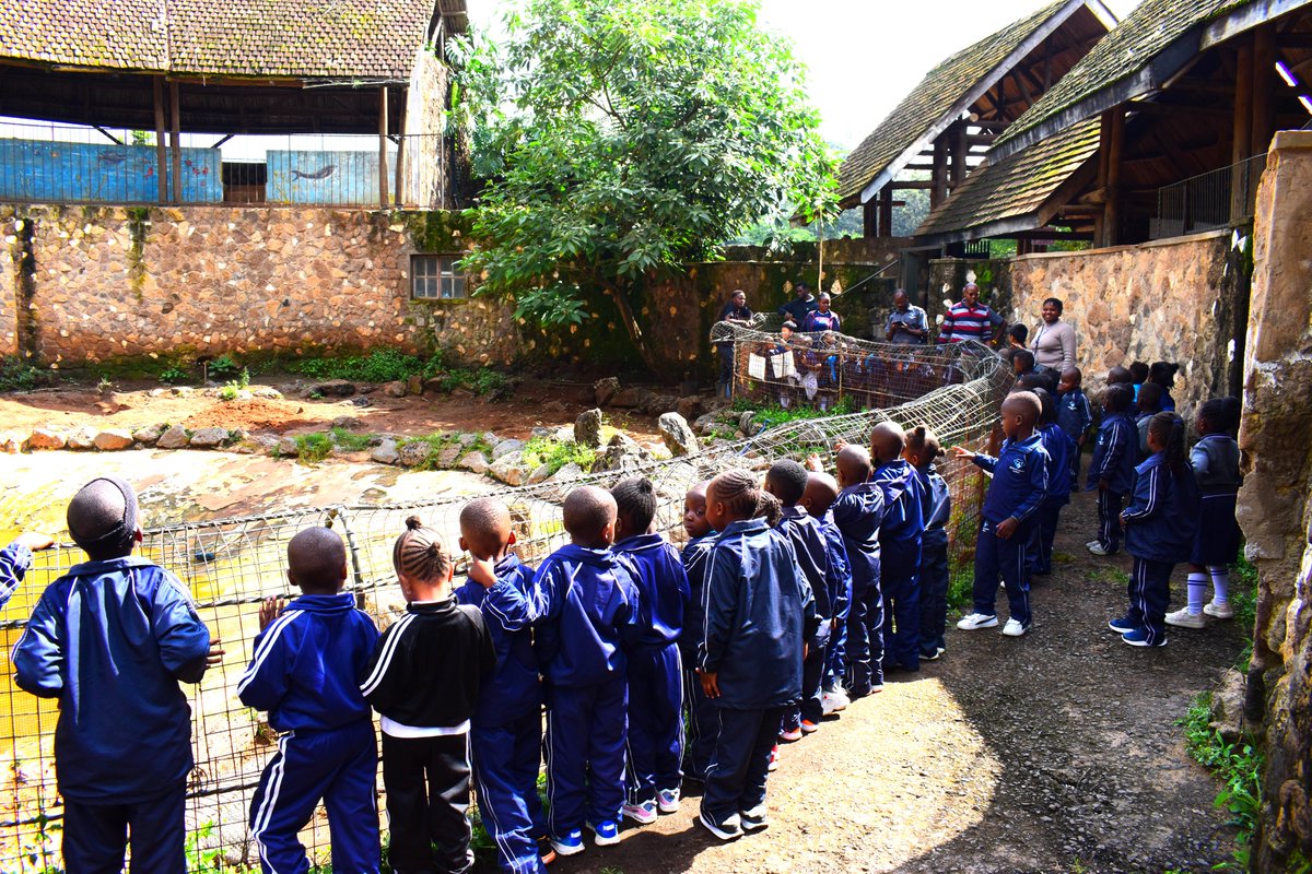 diamondjrschool's tweet image. Our PP1 Learners had an amazing time during their fun and educational school trip, with exciting new discoveries to non-stop fun. It was surely a day they’ll never forget. Proud of our little adventurers! 🌟🚌 #PP1SchoolTrip #YoungExplorers #LearningThroughFun