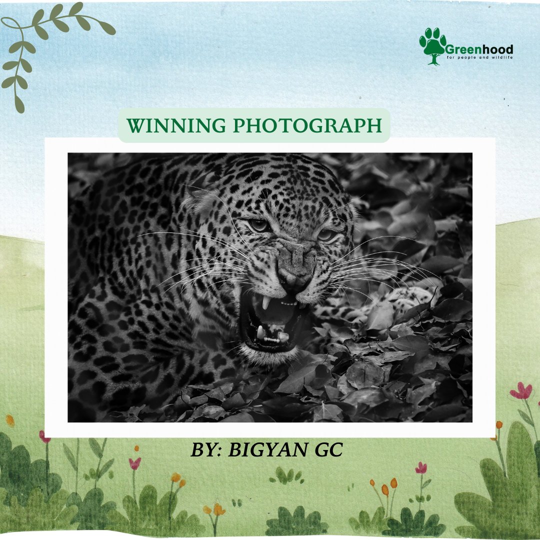 On this #WorldEnvironmentDay‌ , we are thrilled to announce the winner of our #EndangeredSpecies #Photography Competition! 📷📷 Congratulations to Mr. Bigyan GC for capturing the beauty and fragility of our planet's precious #wildlife.